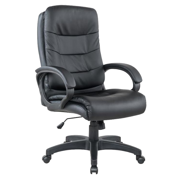 Mobel Manager's Ergonomic Office Chair, Black