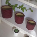 Classy Homes Ceramic Plant Pots Mauve 3 Piece Set