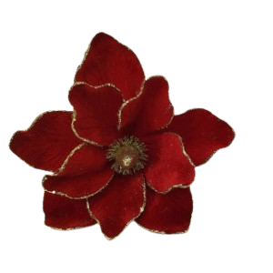 Christmas Flower 30x54cm