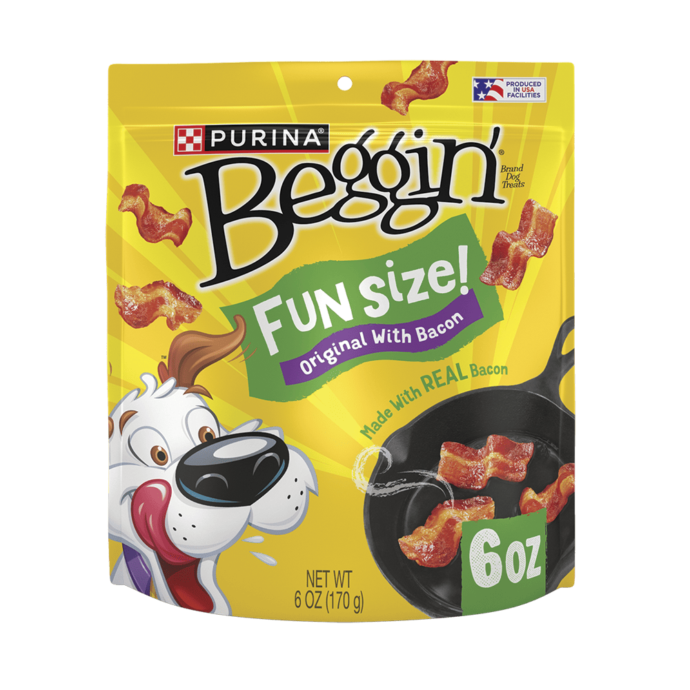 Purina Beggin Fun Size 6OZ