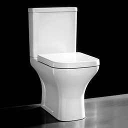 [SR-TT55 RHPT24323] Royal Homes P-trap Toilet